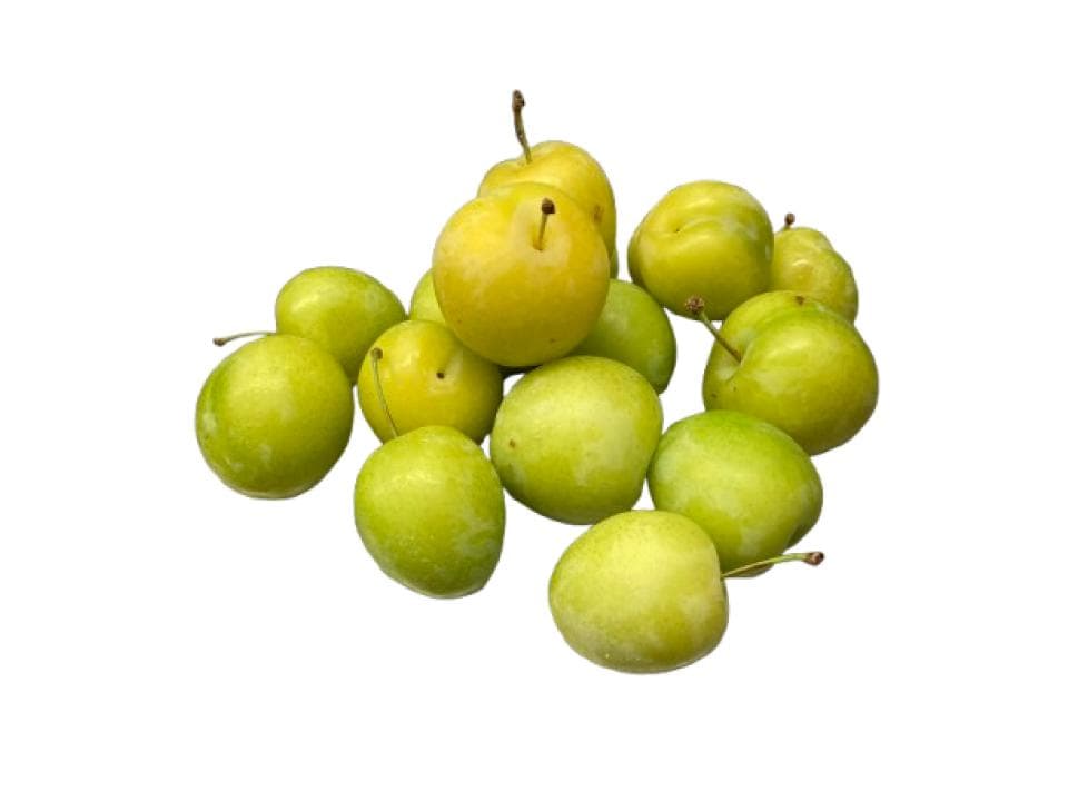 Susina gialla biologica