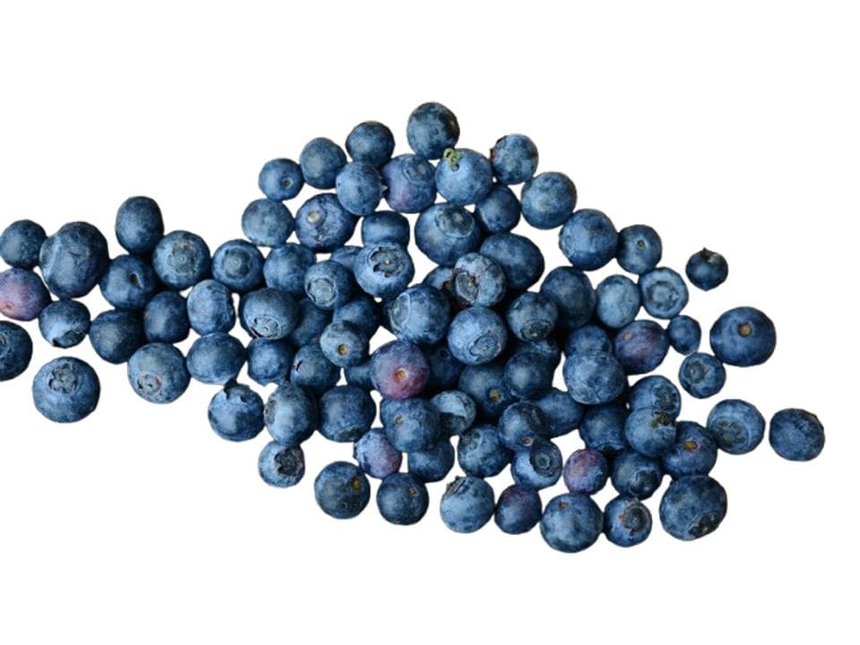 Mirtilli biologici