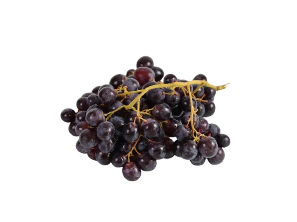 Uva nera biologica