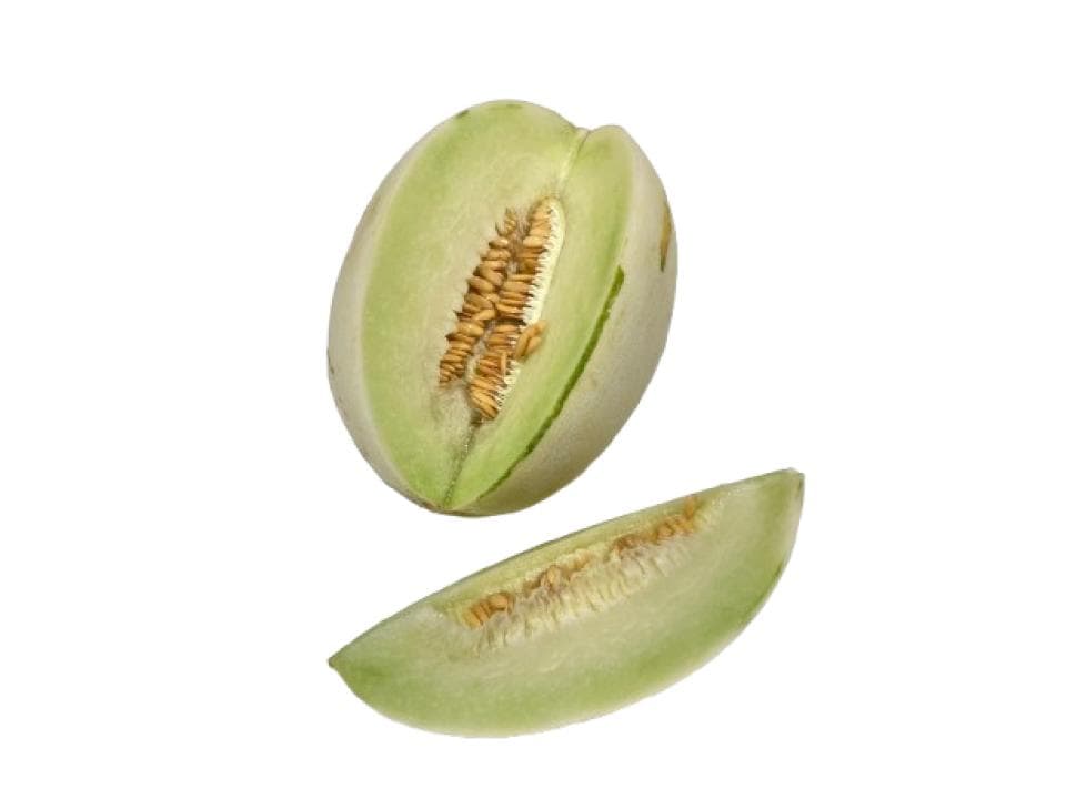 Melone midori biologico