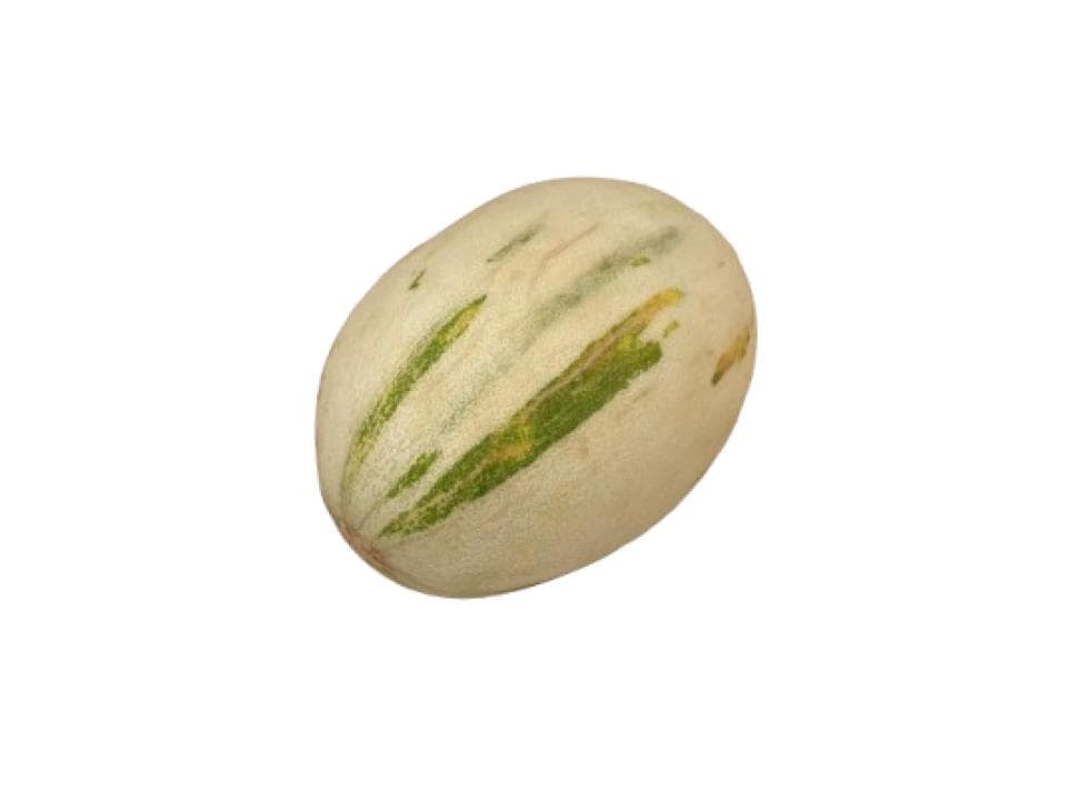 Melone midori bio 2