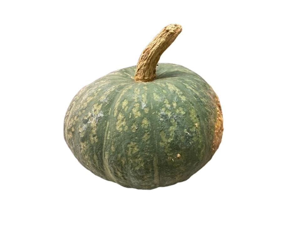 Zucca delica biologica