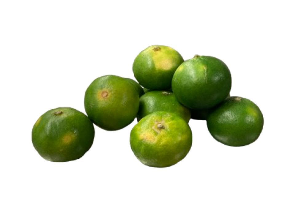 Mandarini satsuma biologici
