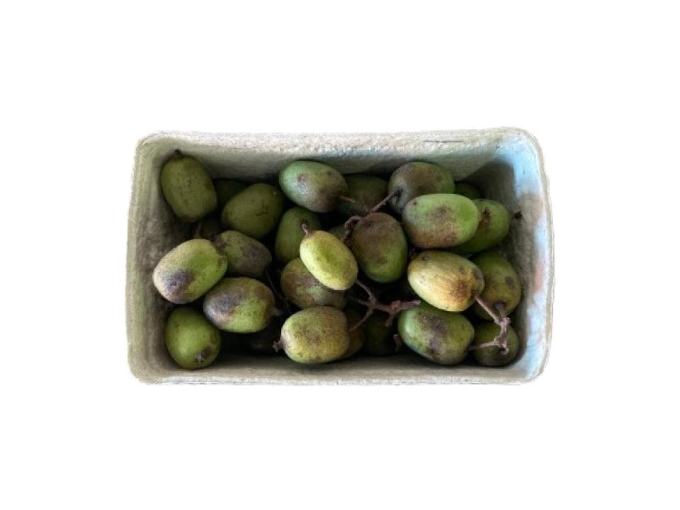 Kiwi arguta biologici