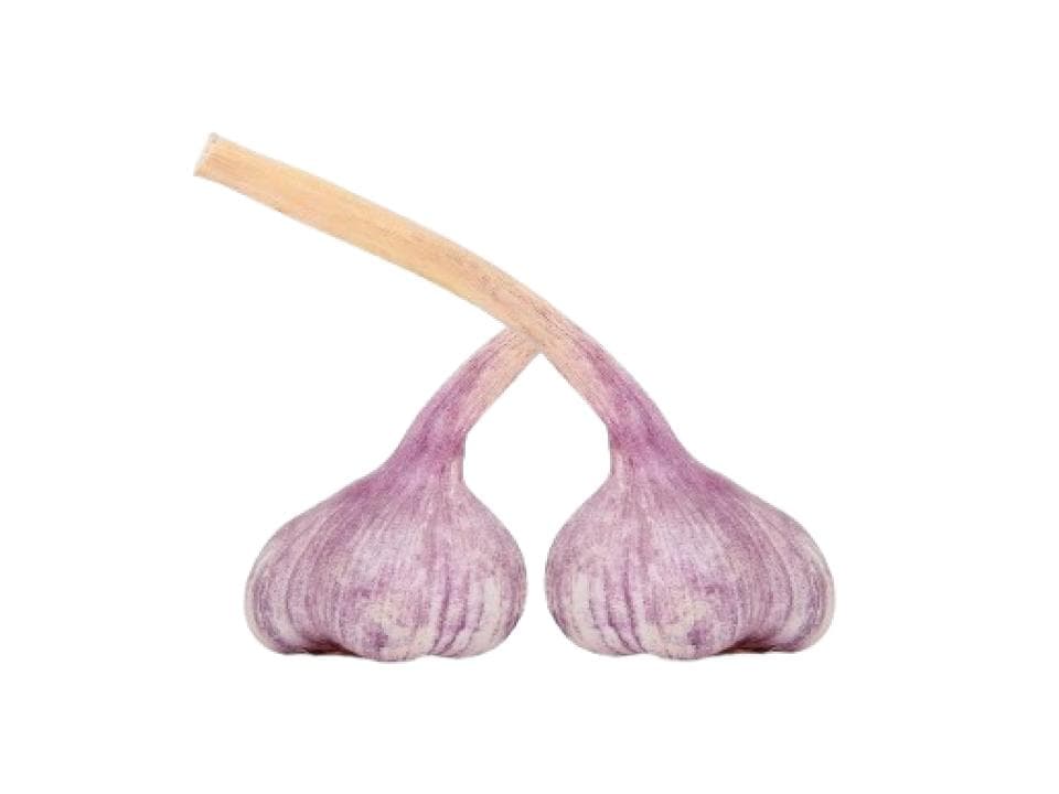 Aglio rosso biologico