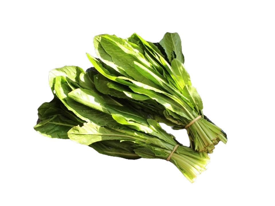 Cicorino da taglio biologico