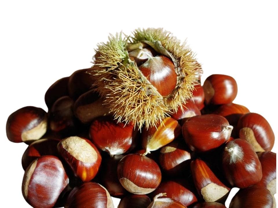 Marroni biologici