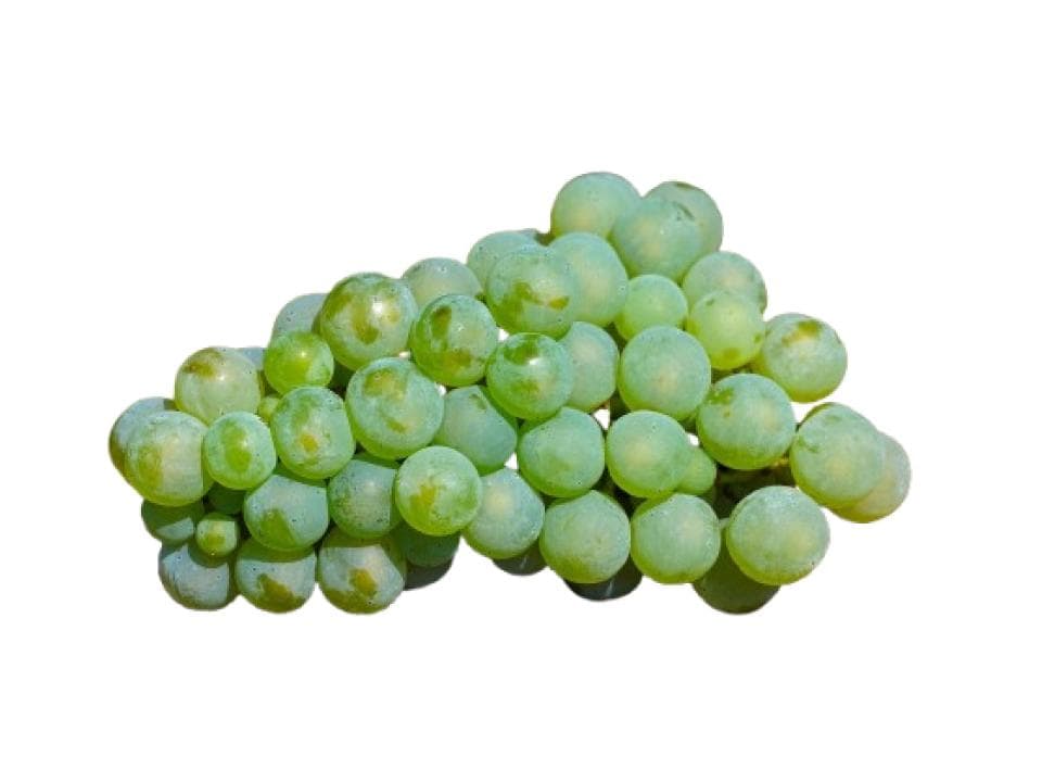 Uva fragola biologica