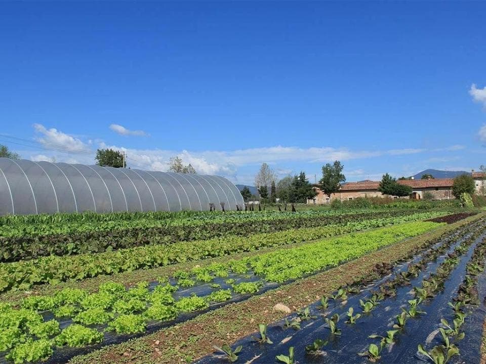 Campi di Bio Fattoria Paradello