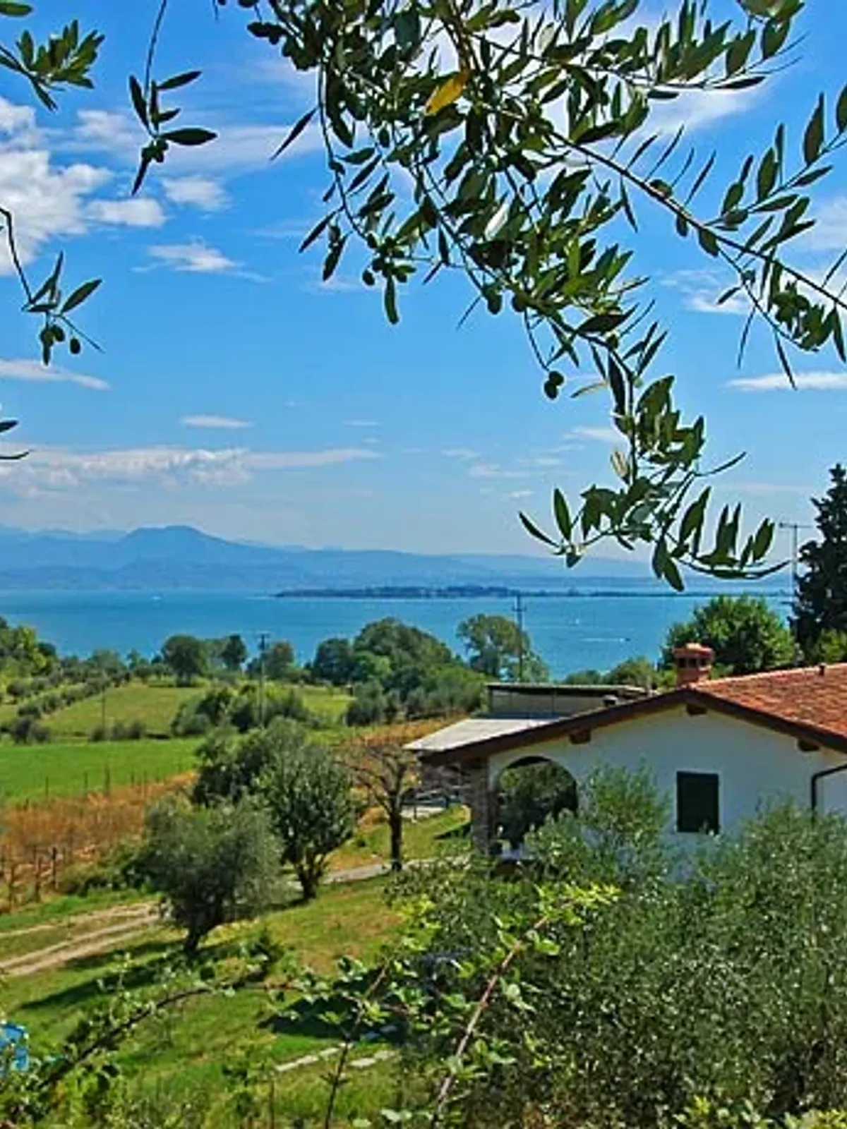 azienda agricola montecorno belvedere panorama