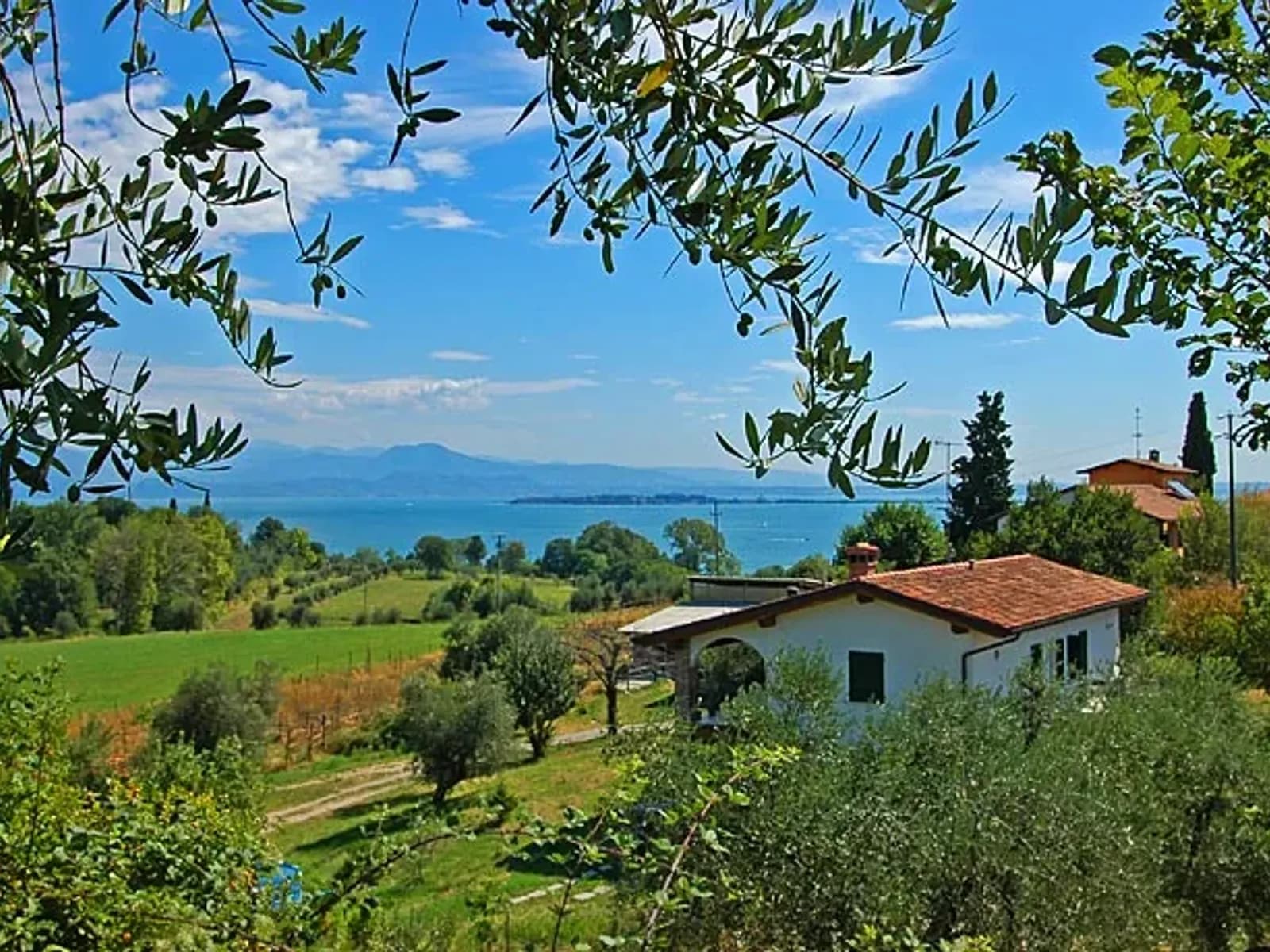 azienda agricola montecorno belvedere panorama
