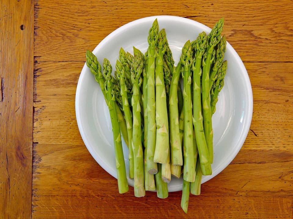 piatto con asparagi freschi biologici