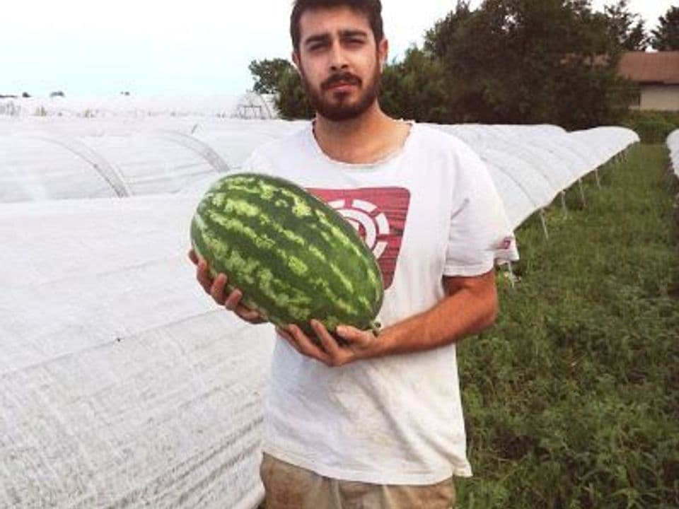 Elias dell'azienda agricola Pagliette