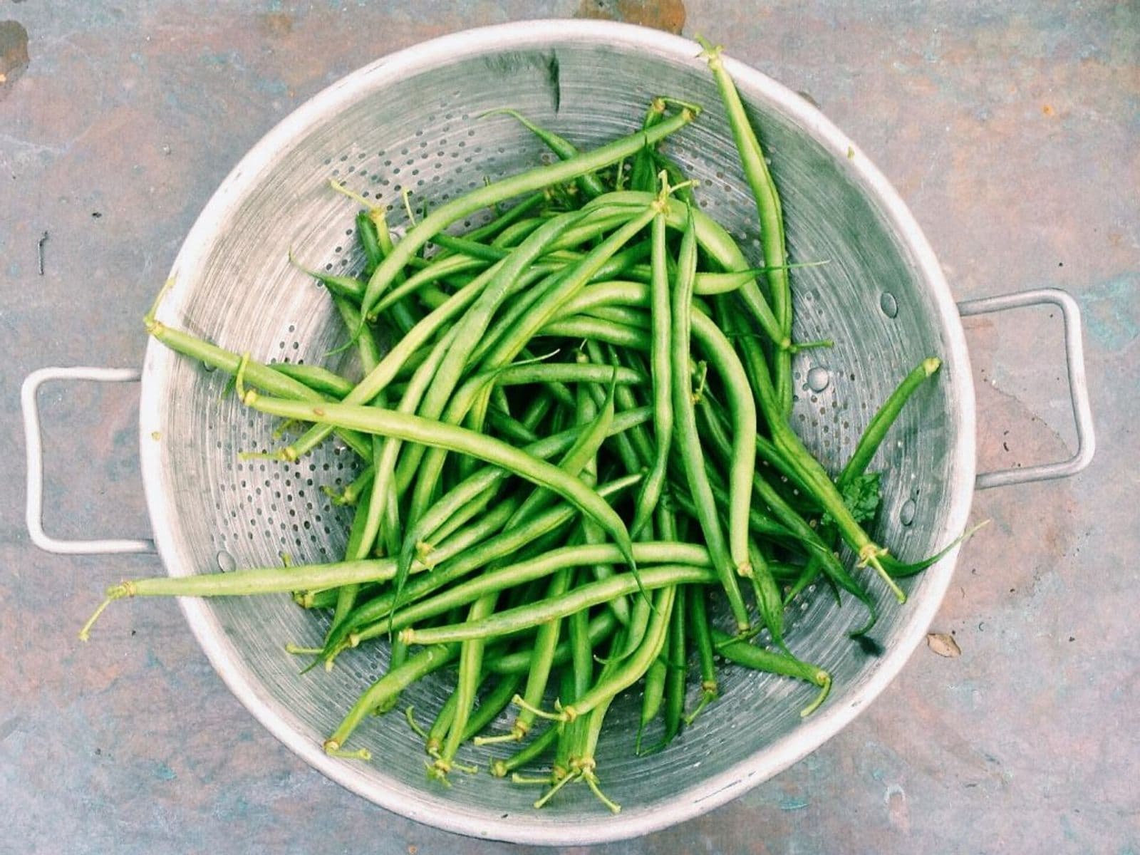 Fagiolini verdi appena raccolti in uno scolapasta