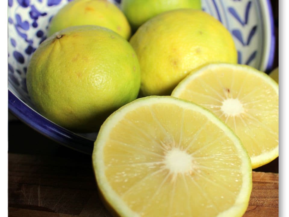 bergamotto biologico