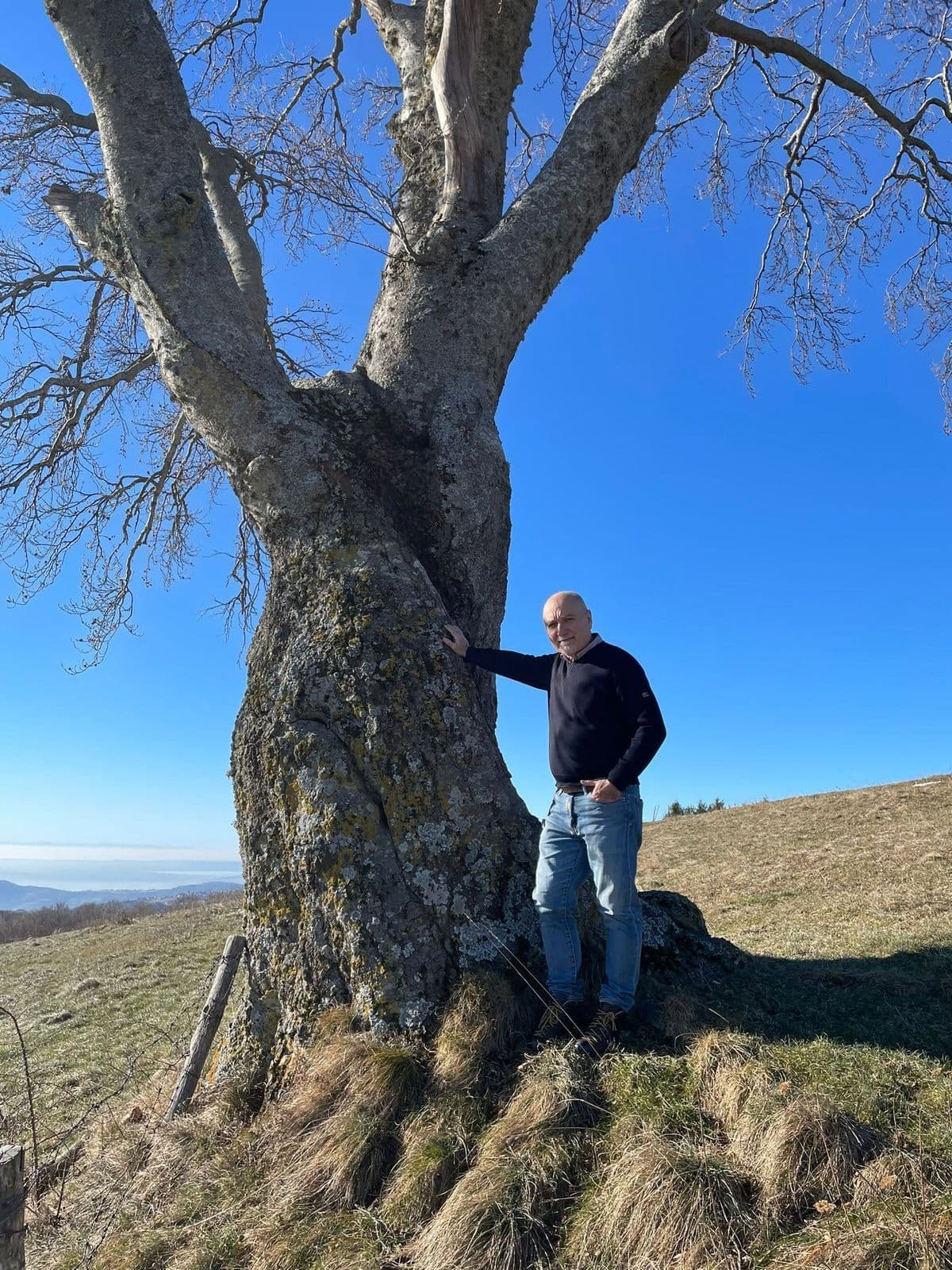 professore Cadouro Gianfranco con albero