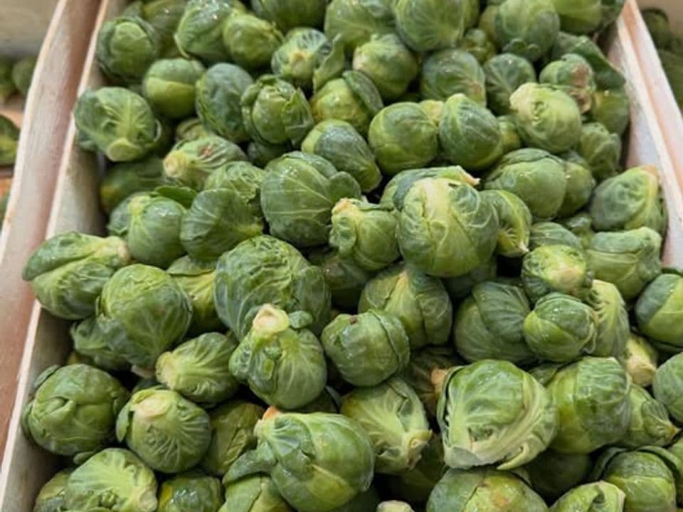 cassetta di cavoletti di bruxelles biologici