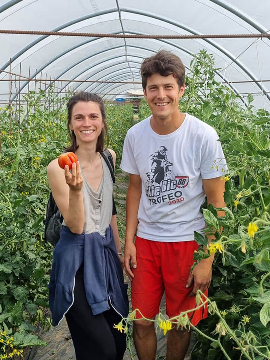 corte cervo_alberto con silvia