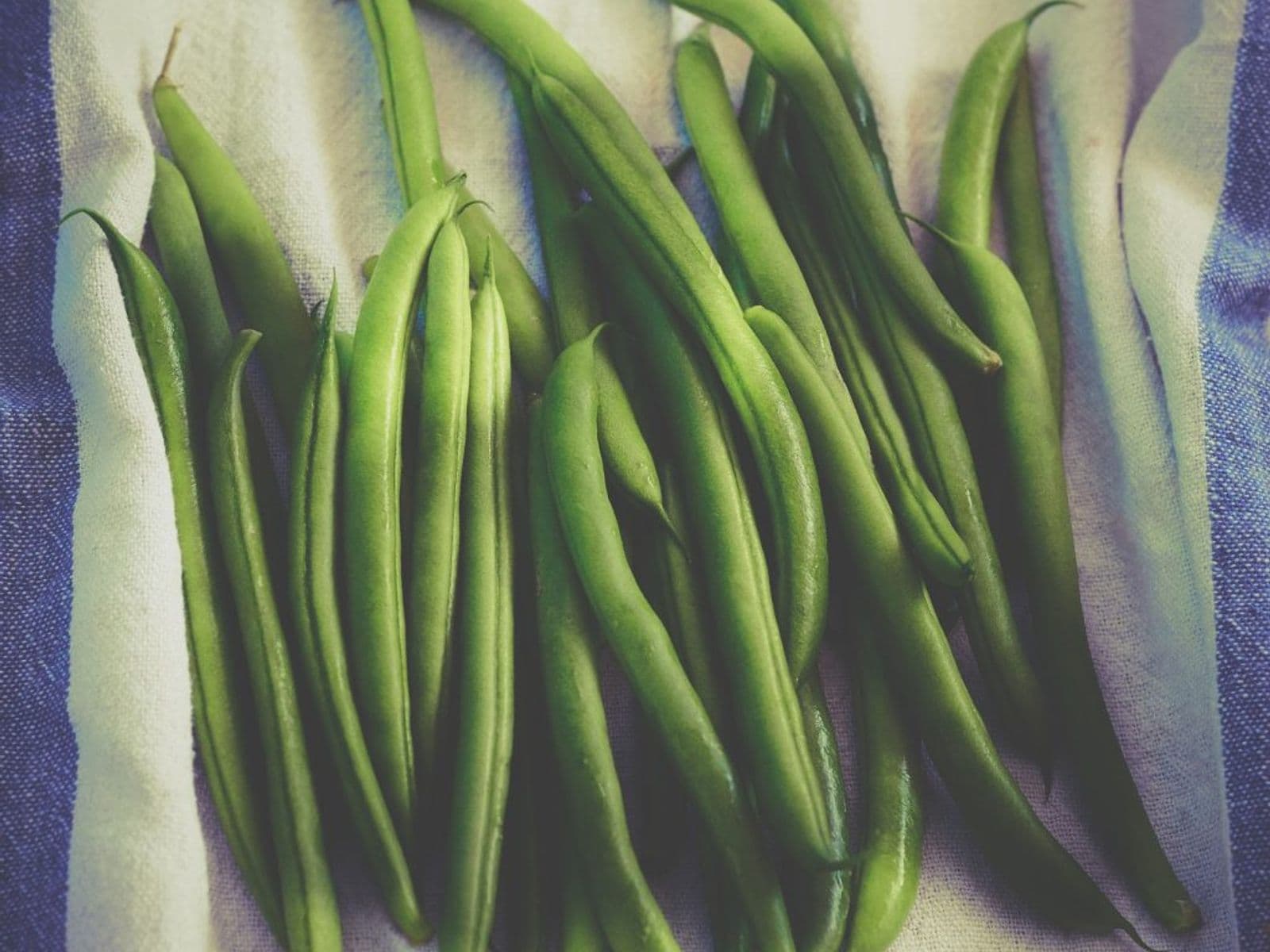 Fagiolini verdi freschi su un panno