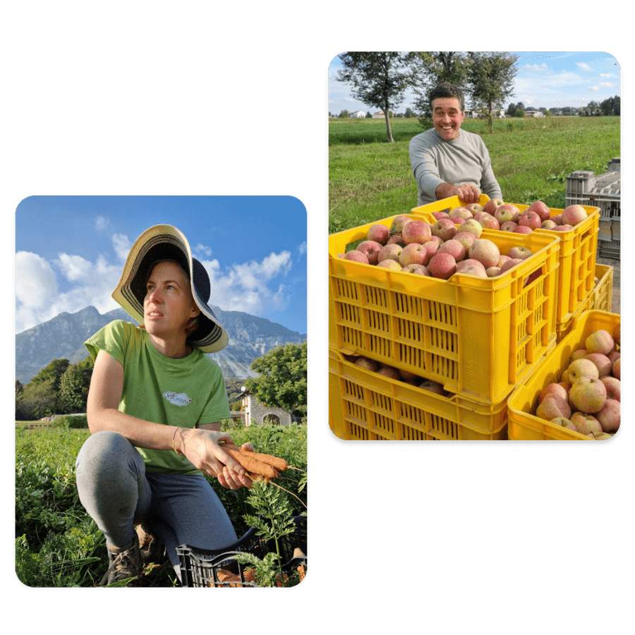 Produttori di fine estate