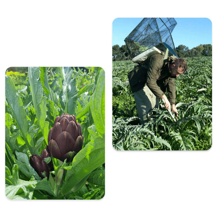 Cortobio, il biologico sostenibile direttamente dai produttori a casa tua!