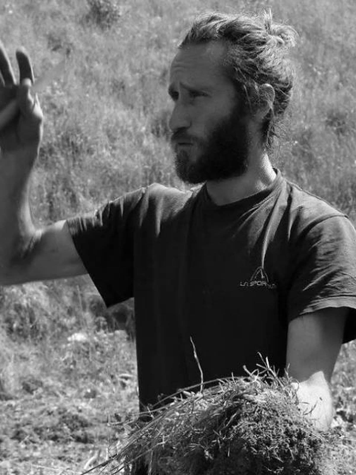 matteo mazzola
