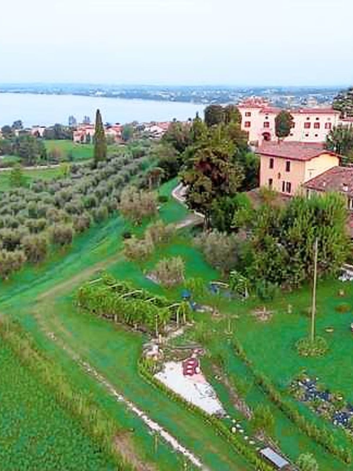 azienda montecorno belvedere dall'alto
