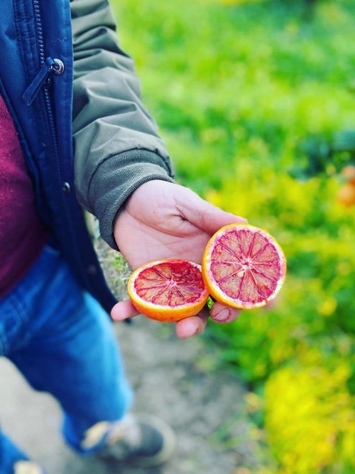 Uomo che mostra un arancia rossa tagliata