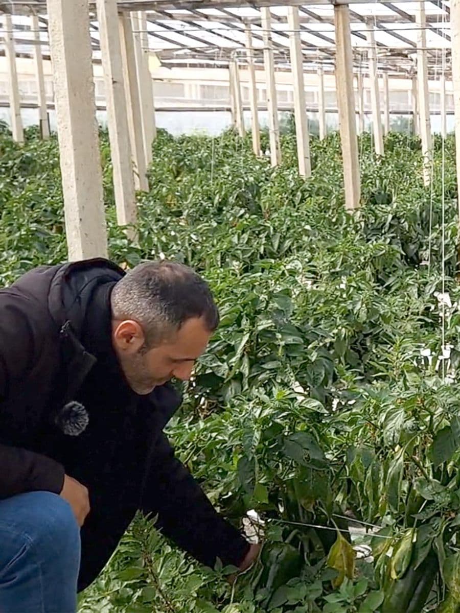 Coltivazione biologica