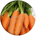 supplemento-carote
