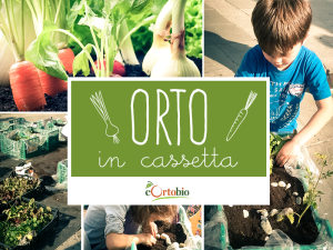 orto-in-cassetta_cortobio2