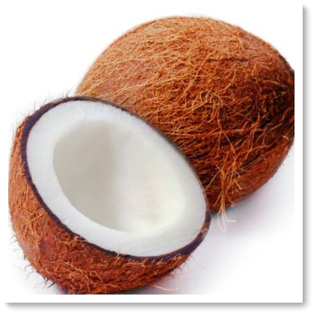 Кокос это ягода или орех. Наушники из кокоса. Звезды из кокоса. Кокос это фрукт или орех. جوز картинки.